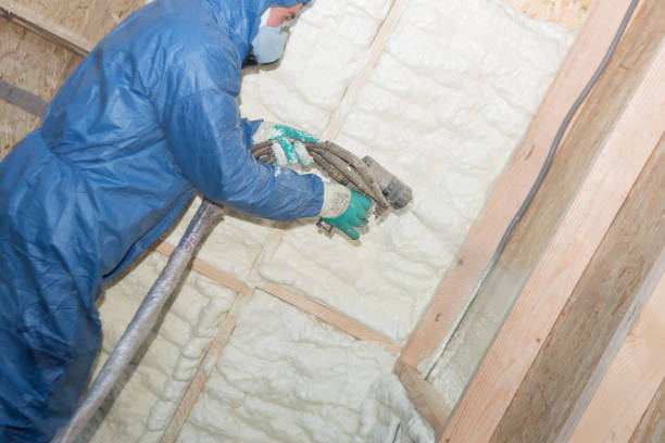 Best Batt and Roll Insulation  in Vega, TX